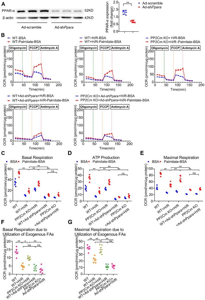 https://cdn.ncbi.nlm.nih.gov/pmc/blobs/5d66/7196282/40ec3de89a9e/thnov10p5623g007.jpg