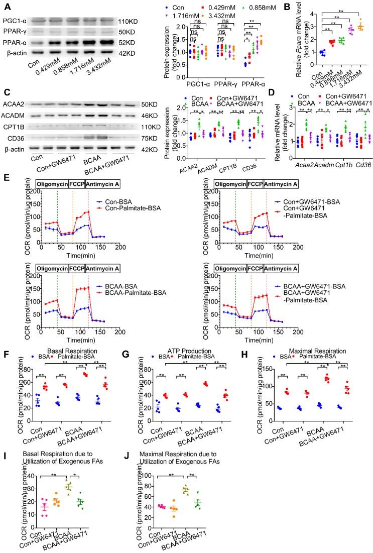 https://cdn.ncbi.nlm.nih.gov/pmc/blobs/5d66/7196282/48d0a9669c60/thnov10p5623g004.jpg