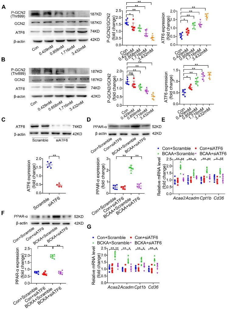 https://cdn.ncbi.nlm.nih.gov/pmc/blobs/5d66/7196282/7d608ddf948f/thnov10p5623g006.jpg