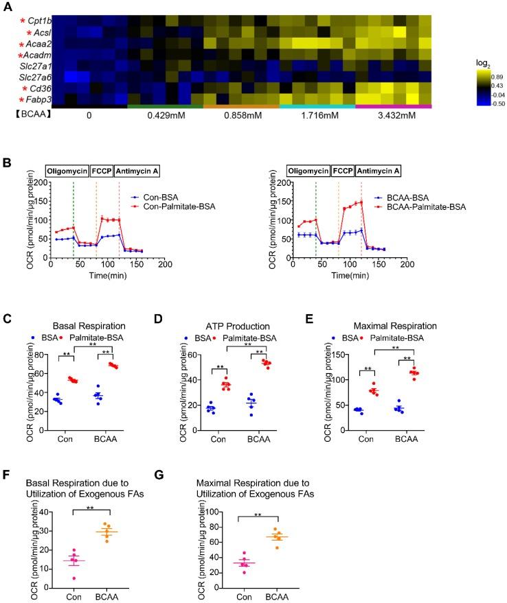 https://cdn.ncbi.nlm.nih.gov/pmc/blobs/5d66/7196282/cccd0c292706/thnov10p5623g001.jpg
