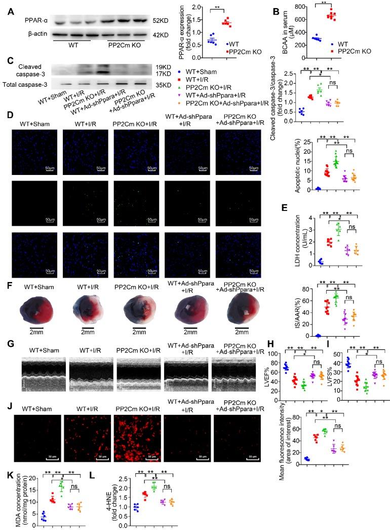 https://cdn.ncbi.nlm.nih.gov/pmc/blobs/5d66/7196282/d90e53530084/thnov10p5623g009.jpg