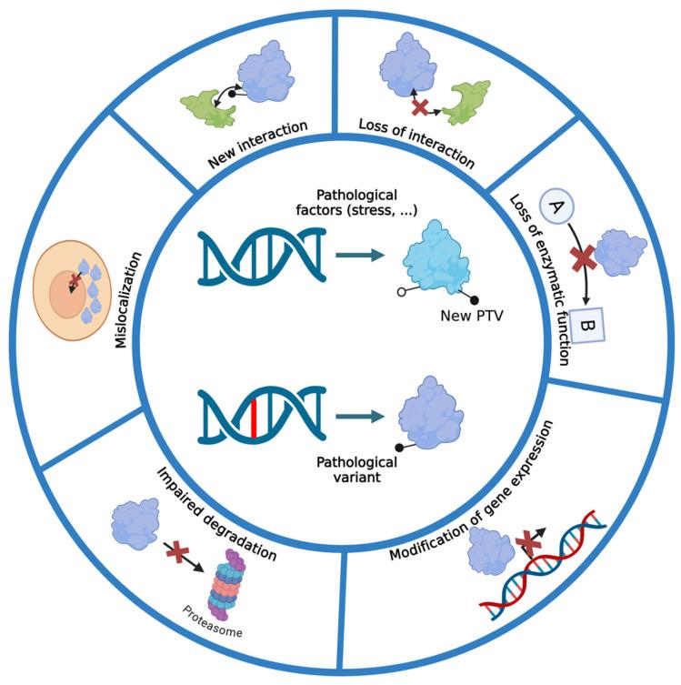 https://cdn.ncbi.nlm.nih.gov/pmc/blobs/5d68/11354932/8b7d75152279/ijms-25-08664-g001.jpg
