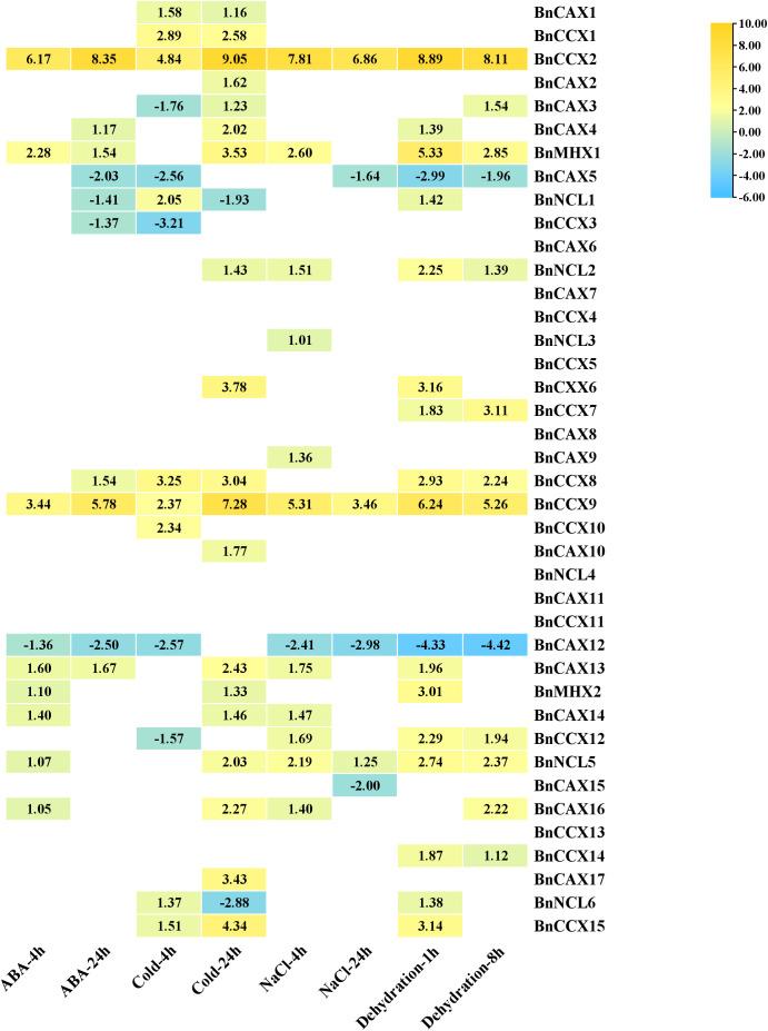 https://cdn.ncbi.nlm.nih.gov/pmc/blobs/5d69/12279817/b26c8ce3db83/fpls-16-1506461-g008.jpg