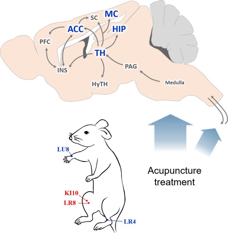 https://cdn.ncbi.nlm.nih.gov/pmc/blobs/5d69/6625224/546683e8b536/fpsyg-10-01353-g008.jpg
