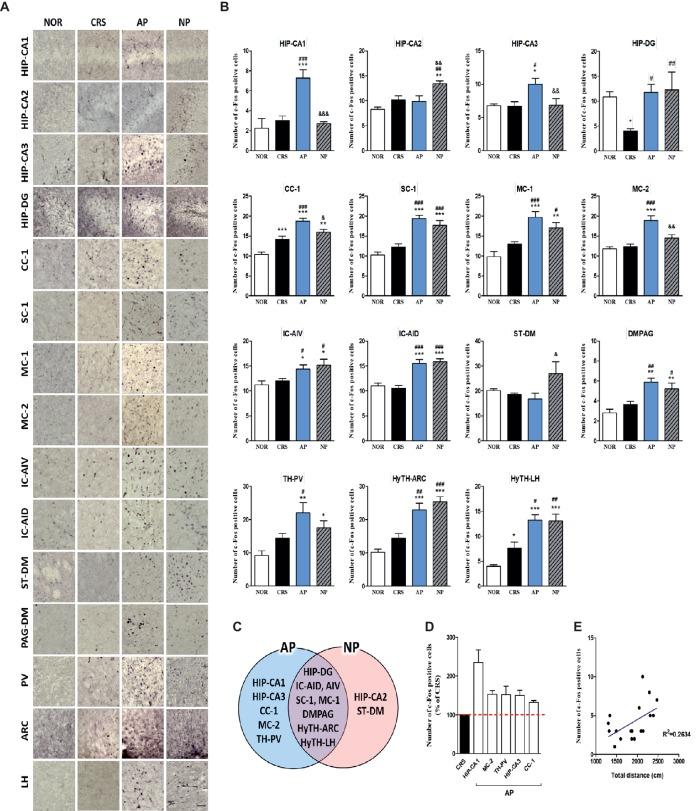 https://cdn.ncbi.nlm.nih.gov/pmc/blobs/5d69/6625224/f72f9b17000a/fpsyg-10-01353-g004.jpg