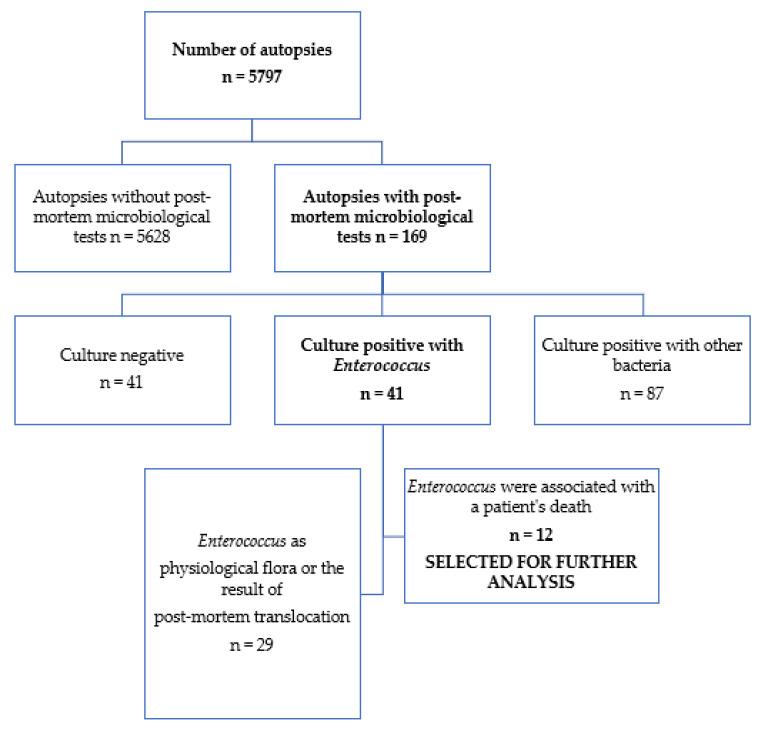 https://cdn.ncbi.nlm.nih.gov/pmc/blobs/5d6b/8880551/8b1ad81bf783/pathogens-11-00204-g002.jpg