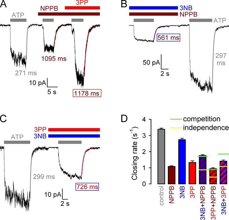 https://cdn.ncbi.nlm.nih.gov/pmc/blobs/5d6e/4178936/594f42e4f533/JGP_201411246_Fig9.jpg