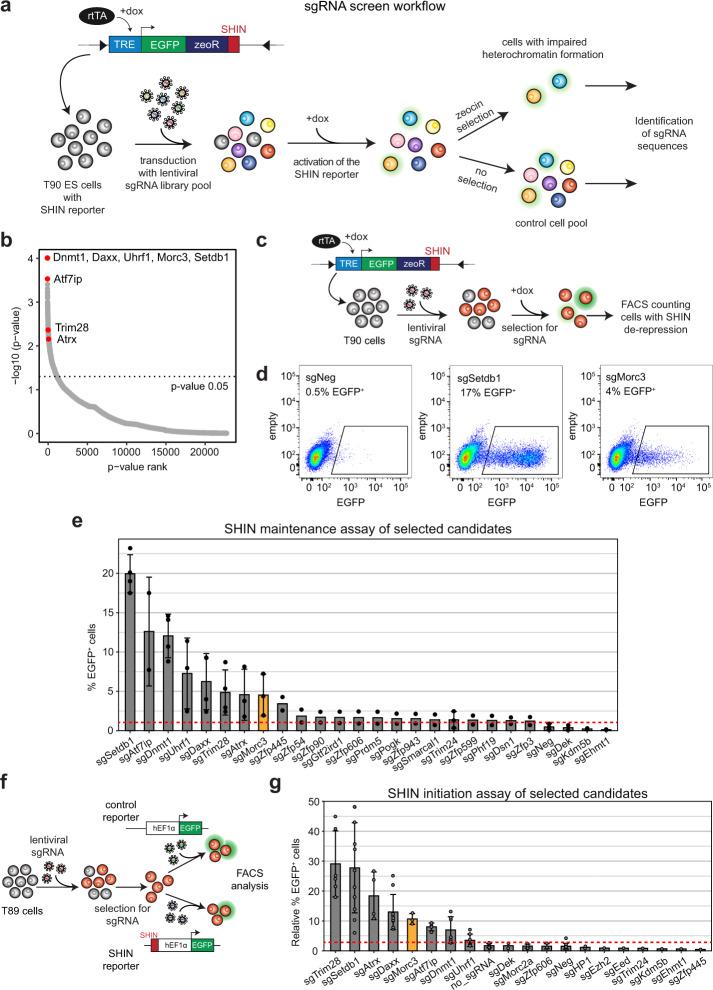 https://cdn.ncbi.nlm.nih.gov/pmc/blobs/5d6e/8516933/1c19acdbe246/41467_2021_26288_Fig1_HTML.jpg