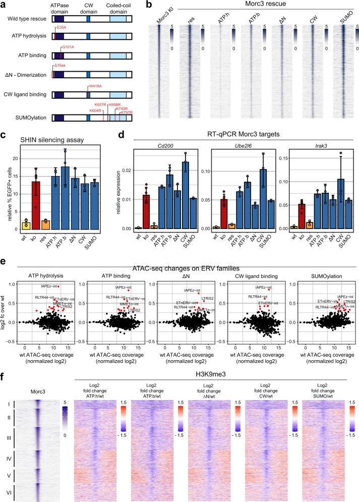 https://cdn.ncbi.nlm.nih.gov/pmc/blobs/5d6e/8516933/26d0e3d5a41b/41467_2021_26288_Fig5_HTML.jpg