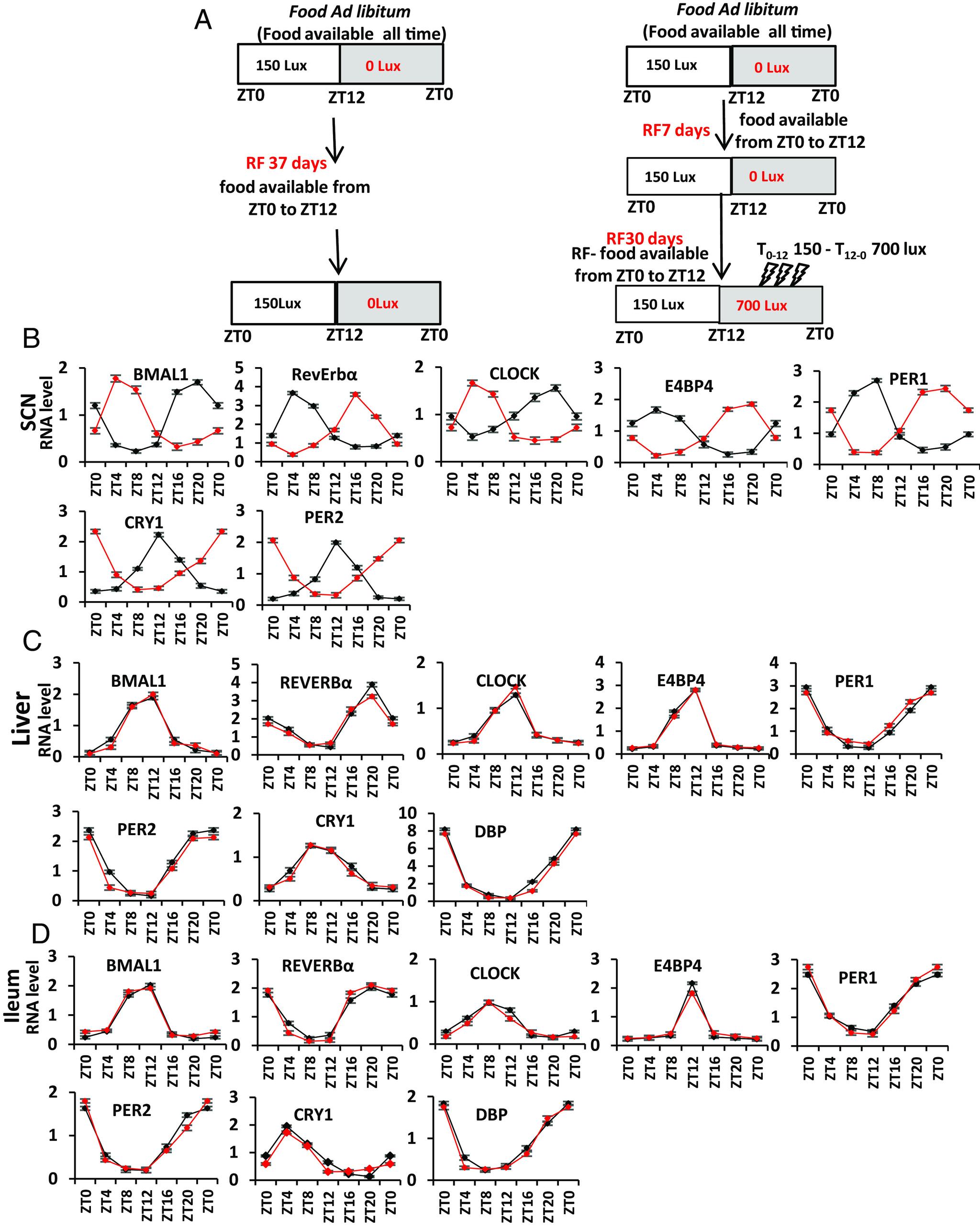 https://cdn.ncbi.nlm.nih.gov/pmc/blobs/5d6f/11317564/7bdf535d2e62/pnas.2403770121fig05.jpg