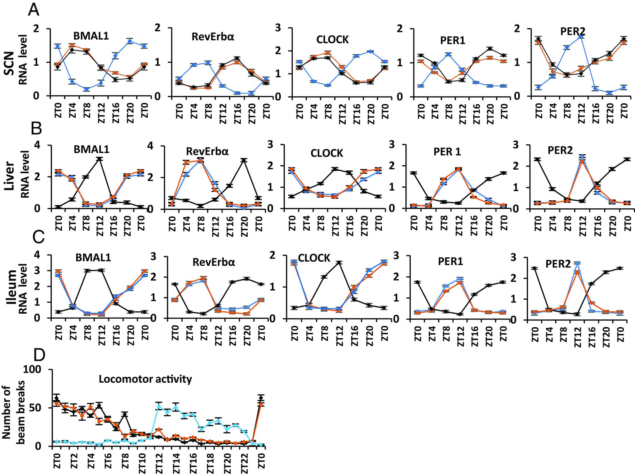 https://cdn.ncbi.nlm.nih.gov/pmc/blobs/5d6f/11317564/d3c76794be83/pnas.2403770121fig07.jpg