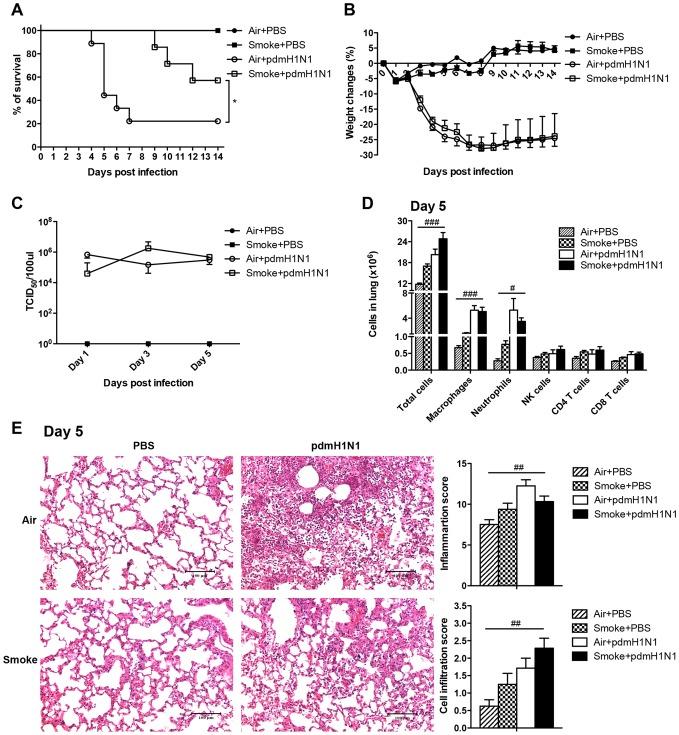 https://cdn.ncbi.nlm.nih.gov/pmc/blobs/5d72/3897646/c310310389fe/pone.0086166.g002.jpg