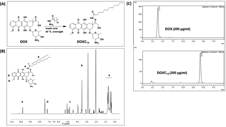 https://cdn.ncbi.nlm.nih.gov/pmc/blobs/5d73/9813532/f7b0346db0df/gr1.jpg