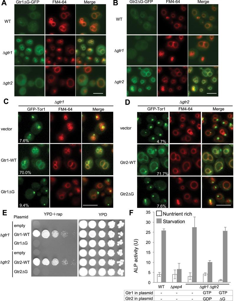 https://cdn.ncbi.nlm.nih.gov/pmc/blobs/5d74/4713139/9278a7a769bf/382fig8.jpg