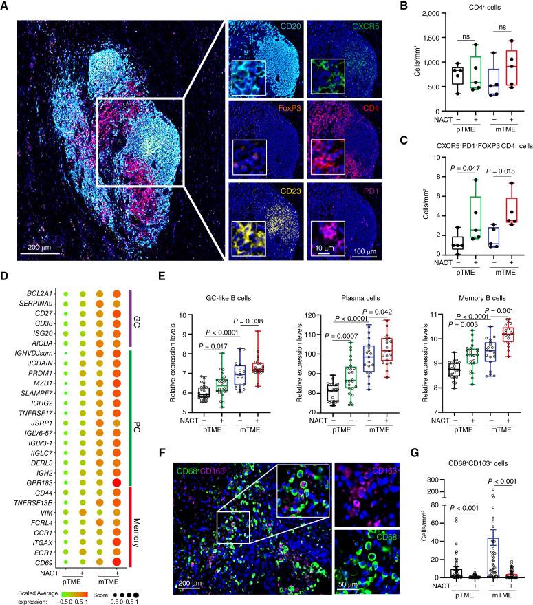 https://cdn.ncbi.nlm.nih.gov/pmc/blobs/5d76/11701433/b0a17592de56/ccr-24-1594_f3.jpg