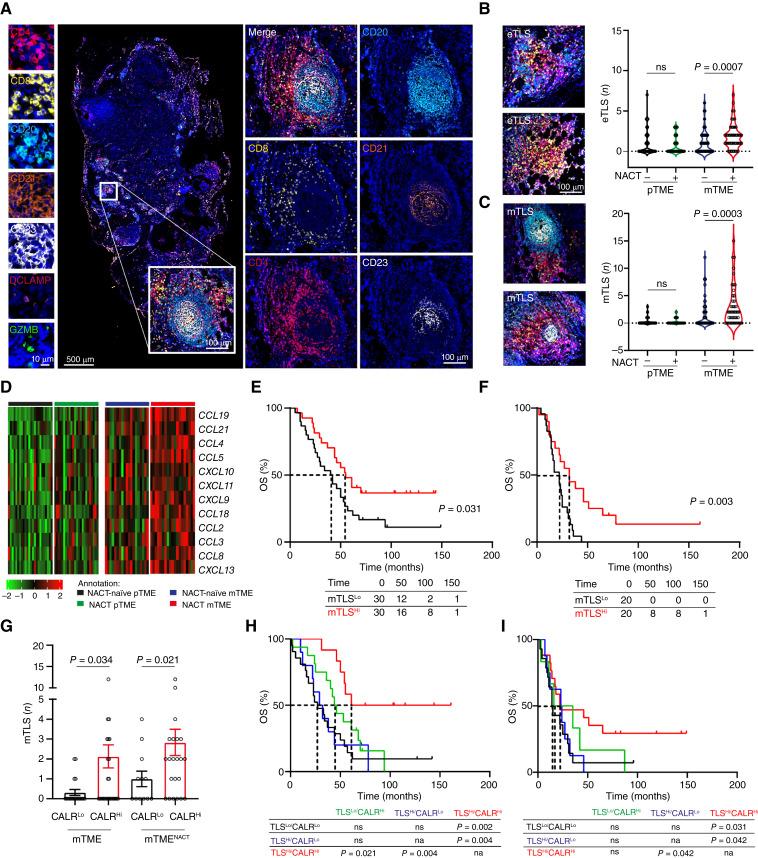 https://cdn.ncbi.nlm.nih.gov/pmc/blobs/5d76/11701433/f4ed7b59cd10/ccr-24-1594_f2.jpg