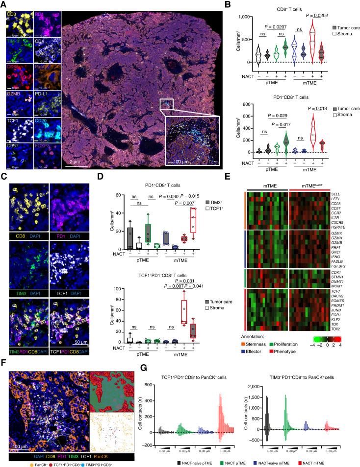 https://cdn.ncbi.nlm.nih.gov/pmc/blobs/5d76/11701433/f706be15e39a/ccr-24-1594_f4.jpg