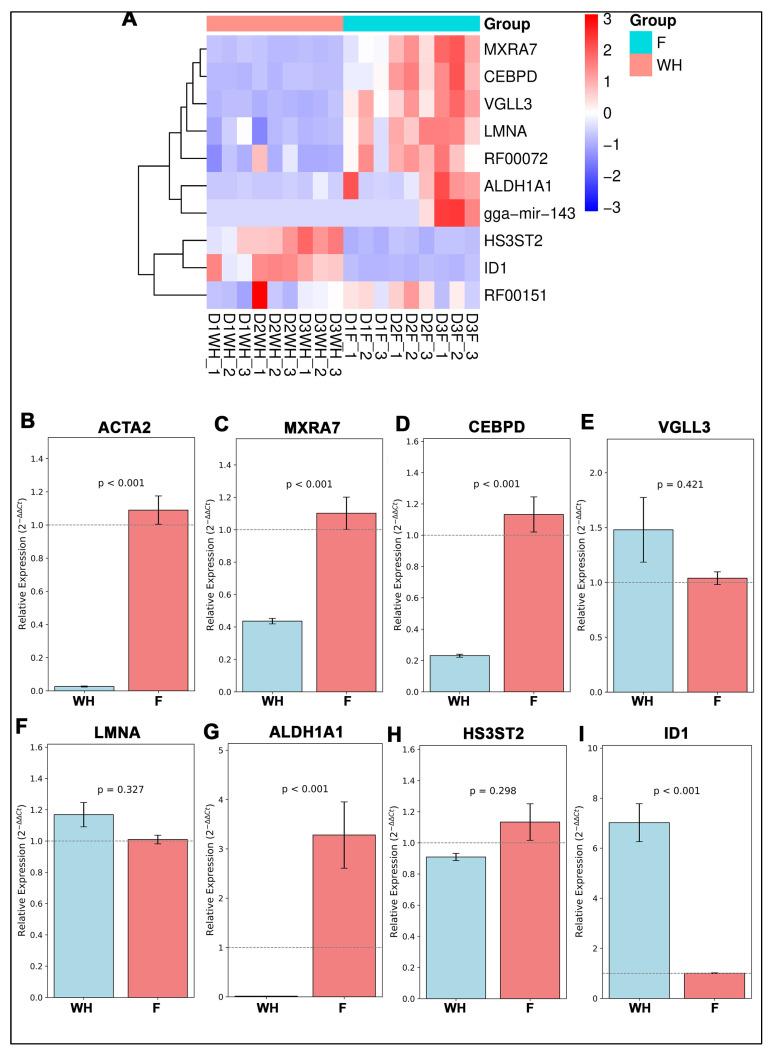 https://cdn.ncbi.nlm.nih.gov/pmc/blobs/5d77/12347510/048b0cb678e0/ijms-26-07422-g007.jpg