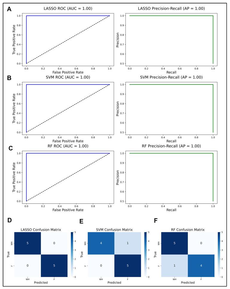 https://cdn.ncbi.nlm.nih.gov/pmc/blobs/5d77/12347510/54314693ddfd/ijms-26-07422-g003.jpg
