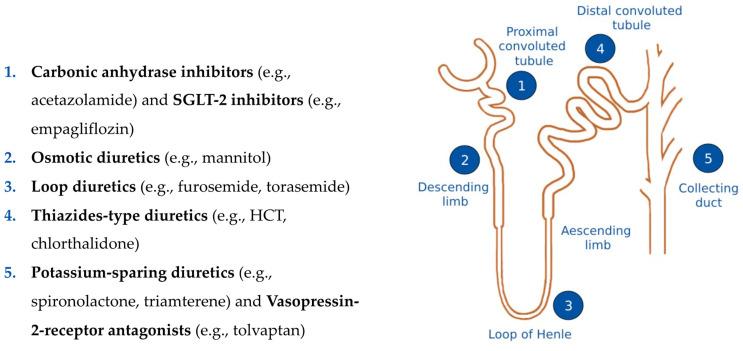 https://cdn.ncbi.nlm.nih.gov/pmc/blobs/5d7c/10816514/45398dd9eb4f/jcm-13-00311-g002.jpg