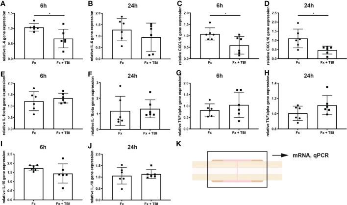 https://cdn.ncbi.nlm.nih.gov/pmc/blobs/5d7c/9905106/0f9a3a5609c4/fimmu-14-1074207-g001.jpg