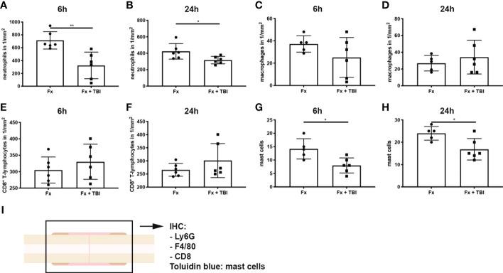 https://cdn.ncbi.nlm.nih.gov/pmc/blobs/5d7c/9905106/2f90c94619d5/fimmu-14-1074207-g003.jpg