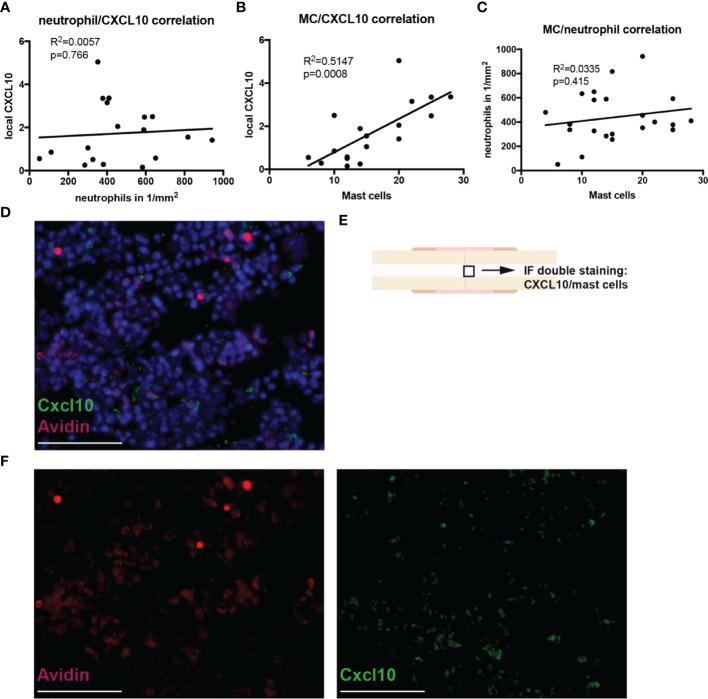 https://cdn.ncbi.nlm.nih.gov/pmc/blobs/5d7c/9905106/4d2168f9ab42/fimmu-14-1074207-g004.jpg