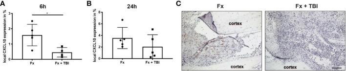 https://cdn.ncbi.nlm.nih.gov/pmc/blobs/5d7c/9905106/8b3c1dc25e41/fimmu-14-1074207-g002.jpg