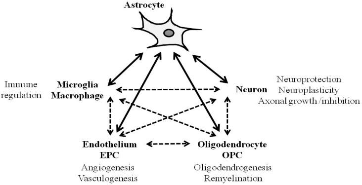 https://cdn.ncbi.nlm.nih.gov/pmc/blobs/5d7e/6358919/20f21e81c432/ijms-20-00282-g001.jpg