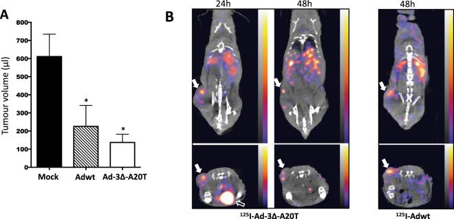 https://cdn.ncbi.nlm.nih.gov/pmc/blobs/5d81/6731255/909006341c73/41598_2019_49150_Fig3_HTML.jpg