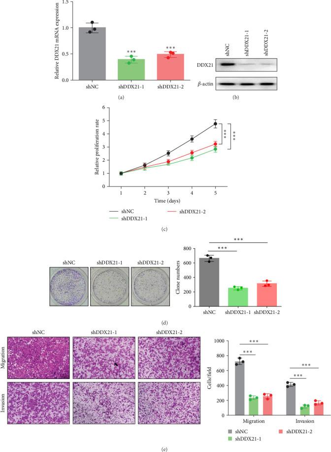 https://cdn.ncbi.nlm.nih.gov/pmc/blobs/5d83/11760617/892e55b1528f/ACP2025-1018820.004.jpg