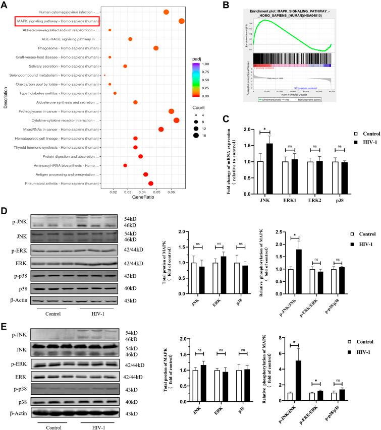 https://cdn.ncbi.nlm.nih.gov/pmc/blobs/5d85/10556724/95fa6debc9f0/LSA-2023-02148_Fig7.jpg