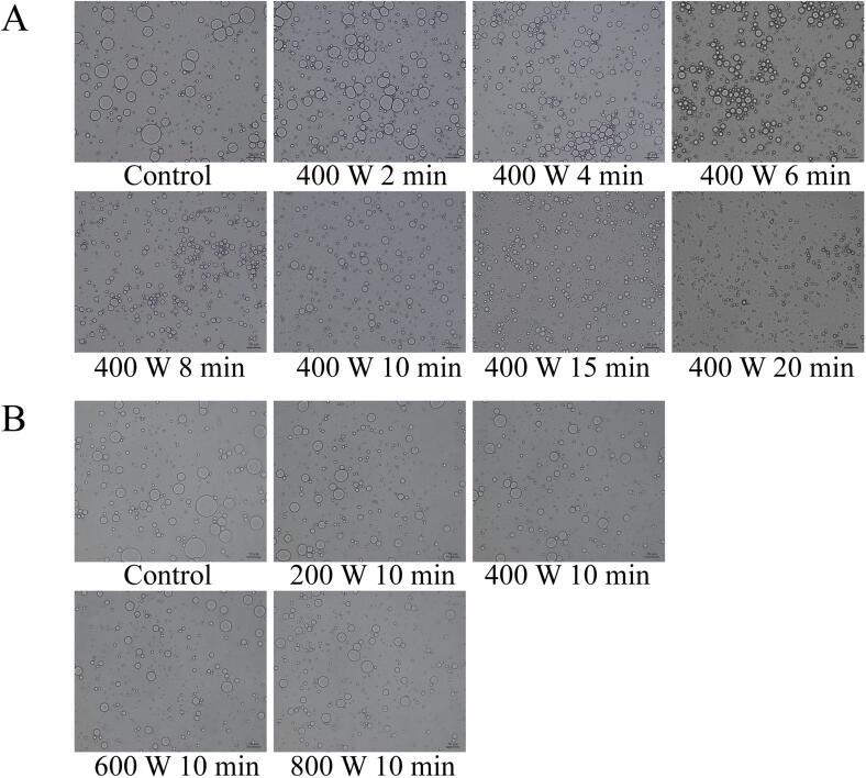 https://cdn.ncbi.nlm.nih.gov/pmc/blobs/5d86/10300257/813db9a48602/gr2.jpg