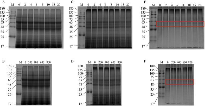 https://cdn.ncbi.nlm.nih.gov/pmc/blobs/5d86/10300257/8e31f2e017d4/gr6.jpg
