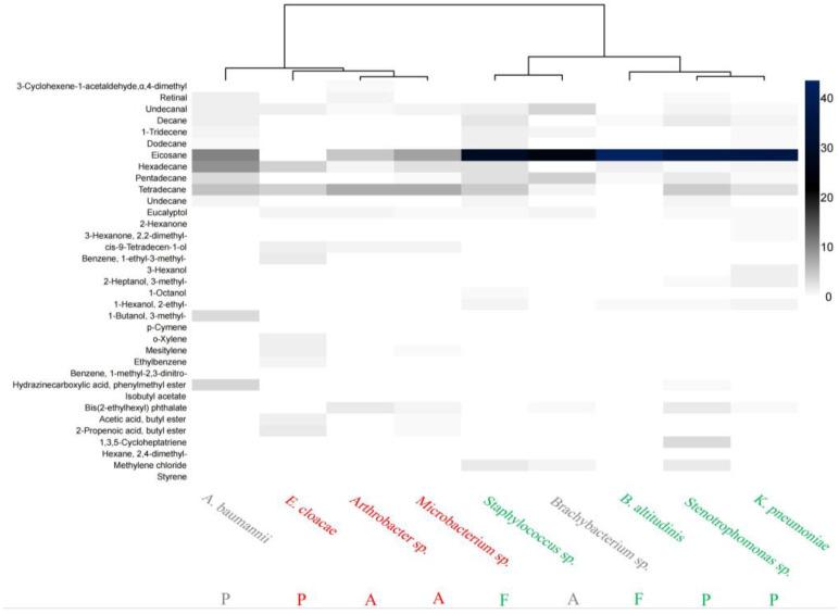 https://cdn.ncbi.nlm.nih.gov/pmc/blobs/5d86/11203816/1b13c7ac983f/insects-15-00455-g004.jpg