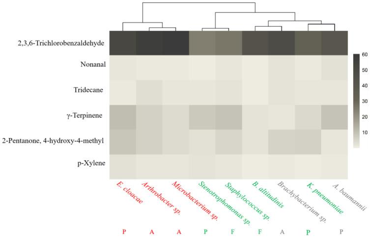 https://cdn.ncbi.nlm.nih.gov/pmc/blobs/5d86/11203816/1fd8ea22089f/insects-15-00455-g003.jpg