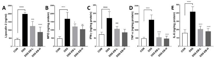 https://cdn.ncbi.nlm.nih.gov/pmc/blobs/5d86/11899094/1ec5059781e1/foods-14-00714-g005.jpg