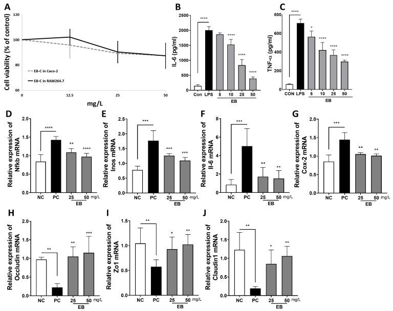 https://cdn.ncbi.nlm.nih.gov/pmc/blobs/5d86/11899094/2a873b7f5789/foods-14-00714-g002.jpg