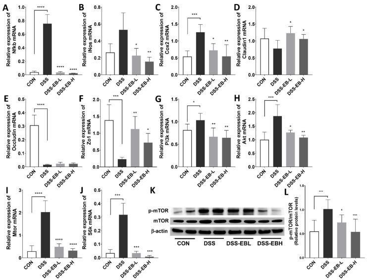 https://cdn.ncbi.nlm.nih.gov/pmc/blobs/5d86/11899094/831666580e89/foods-14-00714-g006.jpg