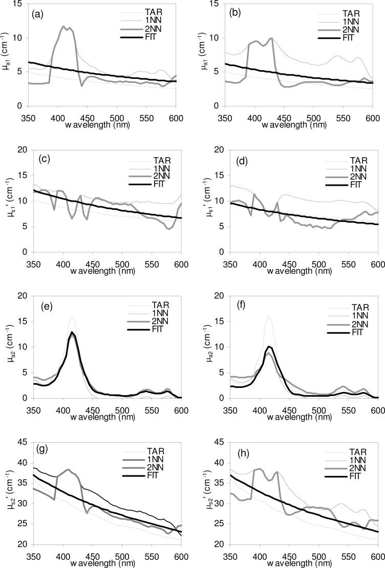 https://cdn.ncbi.nlm.nih.gov/pmc/blobs/5d86/3370964/c1770960fc9c/boe-3-6-1226-g002.jpg