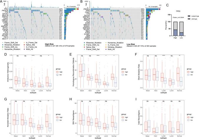 https://cdn.ncbi.nlm.nih.gov/pmc/blobs/5d87/12078914/e76fa82b7602/12672_2025_2585_Fig8_HTML.jpg