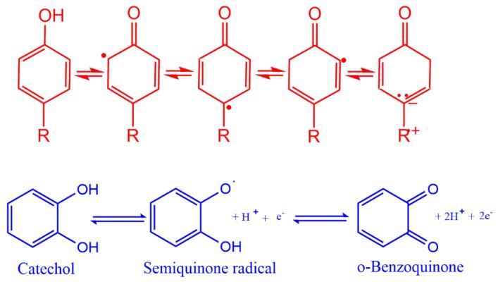 https://cdn.ncbi.nlm.nih.gov/pmc/blobs/5d87/8512349/65f2d8d0ed20/molecules-26-06058-sch007.jpg