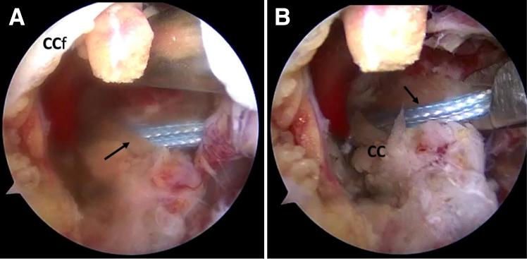 https://cdn.ncbi.nlm.nih.gov/pmc/blobs/5d88/9134684/7367ced039b6/gr7.jpg