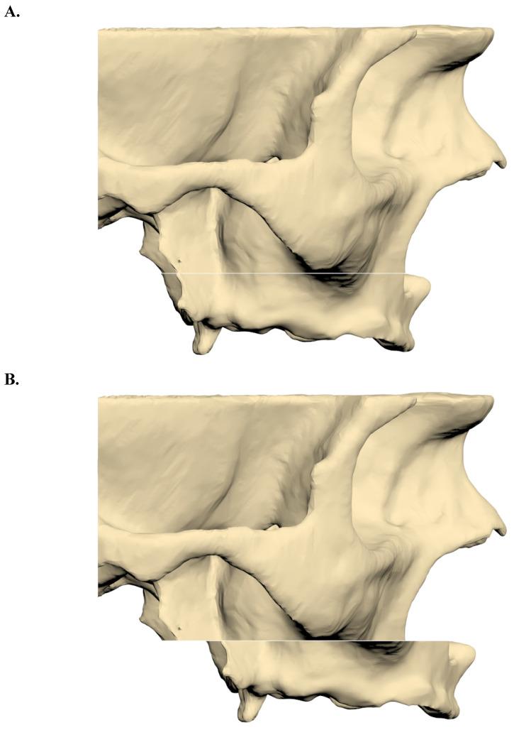 https://cdn.ncbi.nlm.nih.gov/pmc/blobs/5d89/12080587/c4e59e2a3b1b/ijmsv22p2257g001.jpg