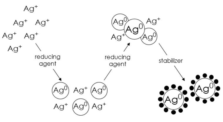 https://cdn.ncbi.nlm.nih.gov/pmc/blobs/5d8b/10343226/522b0fd80ba3/molecules-28-04932-g005.jpg