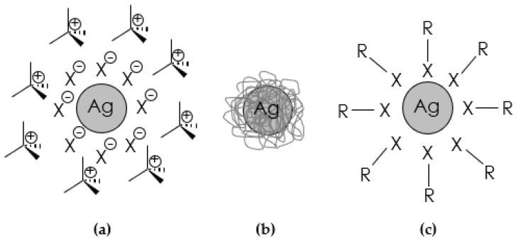https://cdn.ncbi.nlm.nih.gov/pmc/blobs/5d8b/10343226/ed583a5e7260/molecules-28-04932-g006.jpg