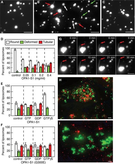https://cdn.ncbi.nlm.nih.gov/pmc/blobs/5d8e/2865371/08427a2dd958/ddq08803.jpg
