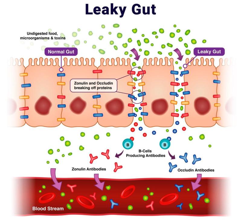 https://cdn.ncbi.nlm.nih.gov/pmc/blobs/5d90/10671756/cb06d1908ead/ijms-24-16352-g001.jpg