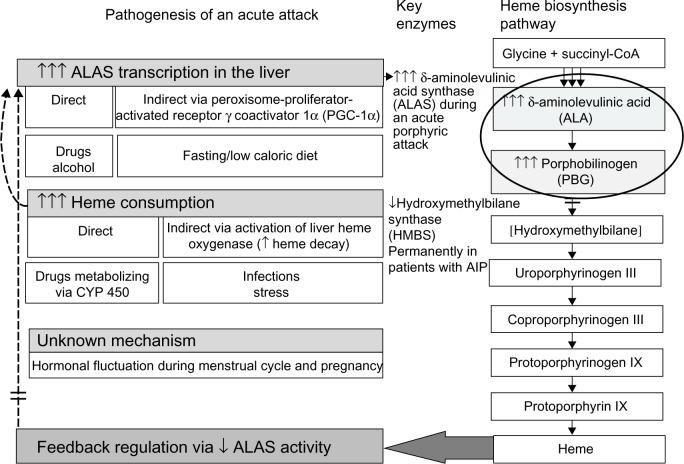 https://cdn.ncbi.nlm.nih.gov/pmc/blobs/5d90/4562648/e7fbbd2fd8eb/tacg-8-201Fig1.jpg