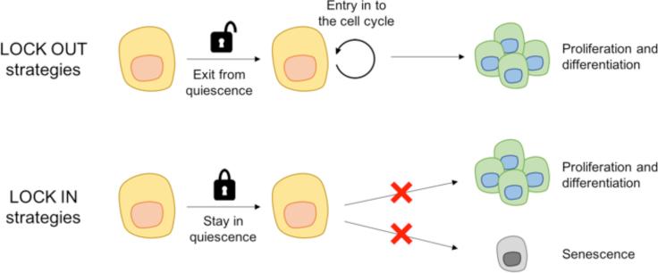 https://cdn.ncbi.nlm.nih.gov/pmc/blobs/5d91/6565921/e33d1beff3c4/gr4.jpg
